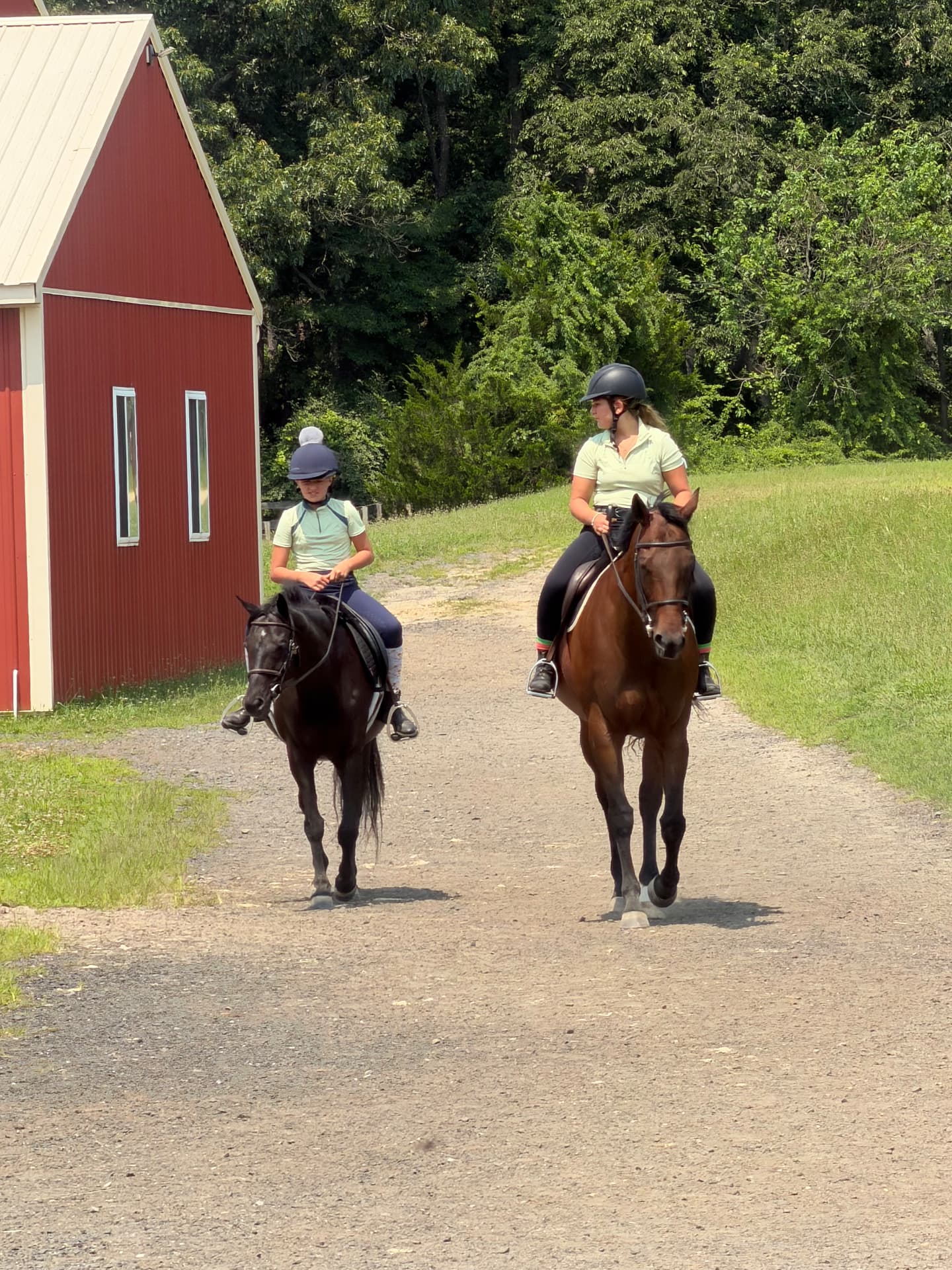 Two helmeted riders walking a dark pony and a bay horse along the sunlit farm lane beside the red barn at Posnerosa