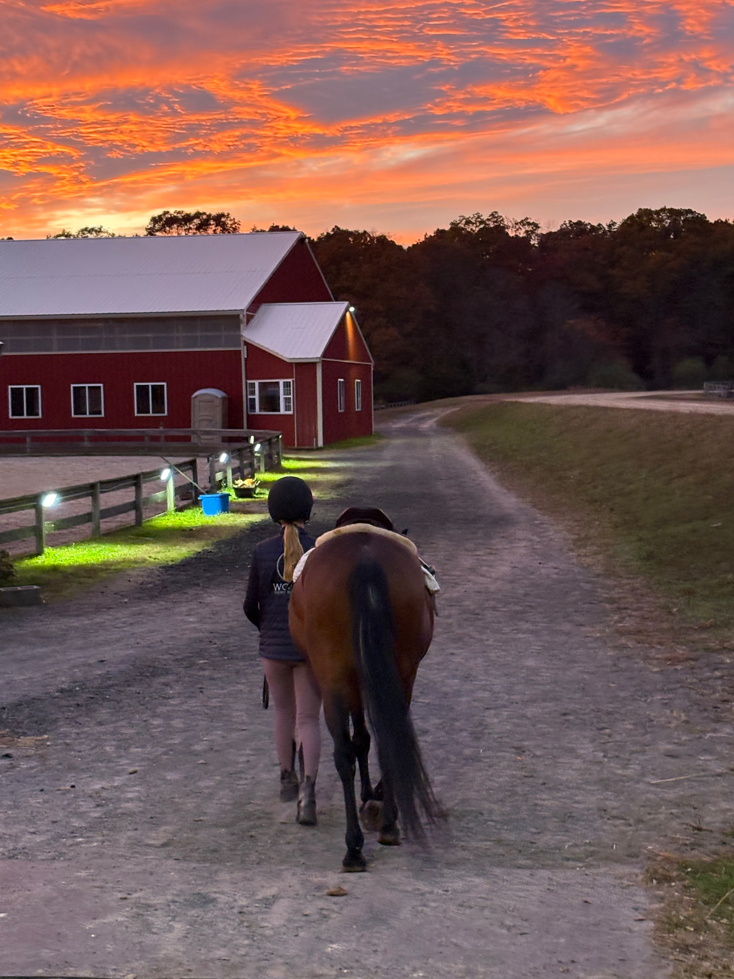 A helmeted person leading a bay horse along the Posnerosa farm lane beside the red indoor arena beneath a vivid orange sunset
